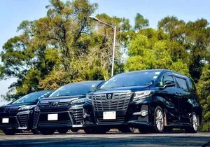 Royalton Hotel & RIU Aquarelle-Private Roundtrip Airport Transfer