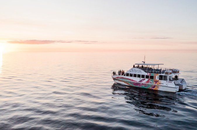 Twilight Cruise in Hervey Bay