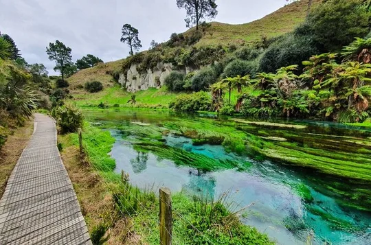 Hobbiton Movie Set & Blue Springs - Small Group Tour Ex Auckland