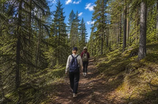 Rovaniemi: Korouoma Canyon Hike and Barbecue Experience