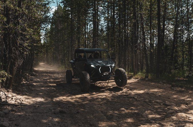 5 Hour Park City ATV and UTV Rentals (4 Seater RZR)
