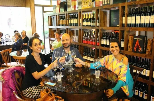 Private Lisbon Wine Tour with 2 Wineries & Tastings