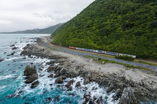 3 Day Kaikoura Sealife and Coastal Tour from Christchurch