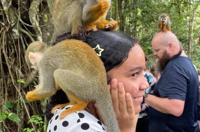 Puerto Plata Combo Shore Excursion Adventure Buggys & Monkeys