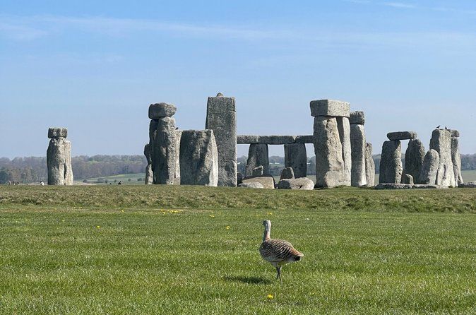 Bath and Stonehenge From London - Private Luxury Day Tour