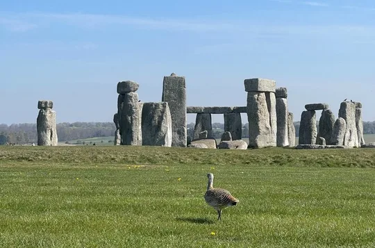 Bath and Stonehenge From London - Private Luxury Day Tour