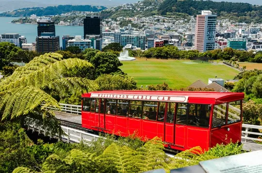 Descubra Wellington City Tour de 3 horas