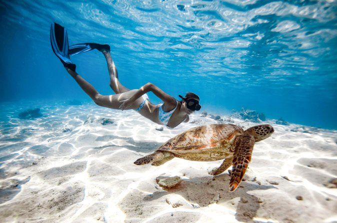 Private Turtle and Ray Tour Rarotonga