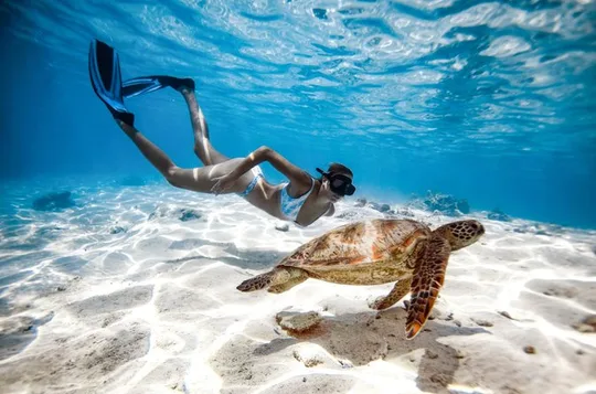 Private Turtle and Ray Tour Rarotonga