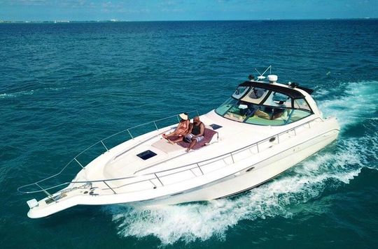 Private Yacht 46ft Sea Ray Snorkel up to 15 pax 23P2