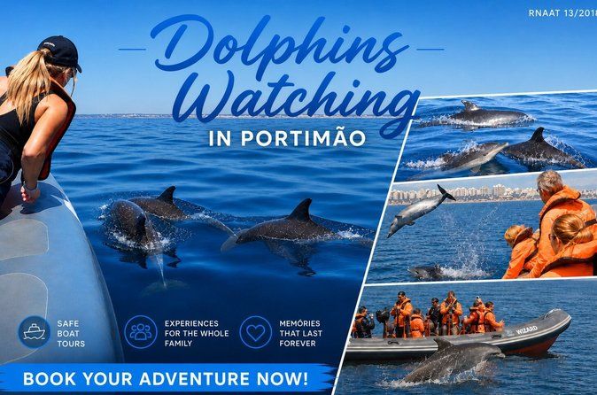 Dolphins Watching