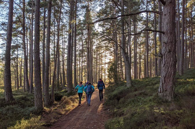 Private Guided Discovery Walk in the Cairngorms