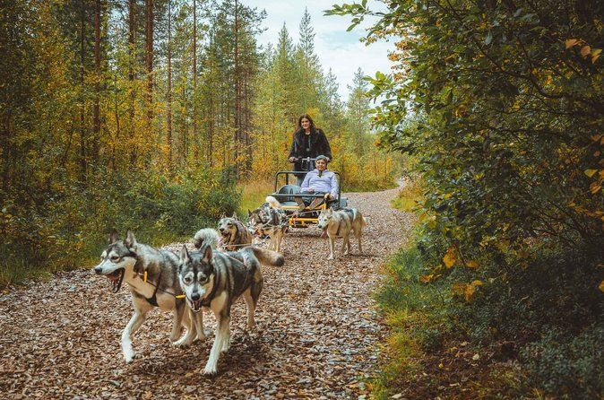 Autumn Husky Ride on Wheels, Apukka Resort Rovaniemi