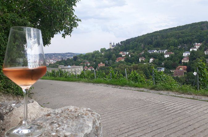 Vineyard hike “Würzburger Panoramaweg” incl. 3er wine tasting