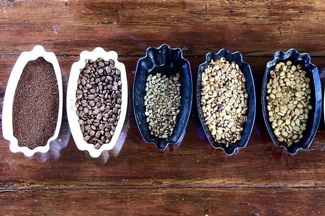 Blue Mountains Coffee Private Tour from Kingston