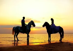 Love is in the air! Private horseback ride on the beach and sunset dinner!