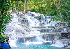 Private Dunn River Falls and Park Tour from Montego Bay