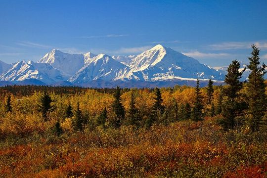 Shared Denali National Park Entrance to Fairbanks Transport
