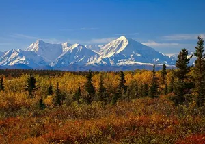 Shared Denali National Park Entrance to Fairbanks Transport