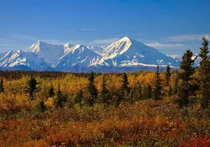 Shared Denali National Park Entrance to Fairbanks Transport