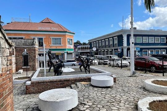 Montego Bay City Highlights & Bird Sanctuary & Shopping
