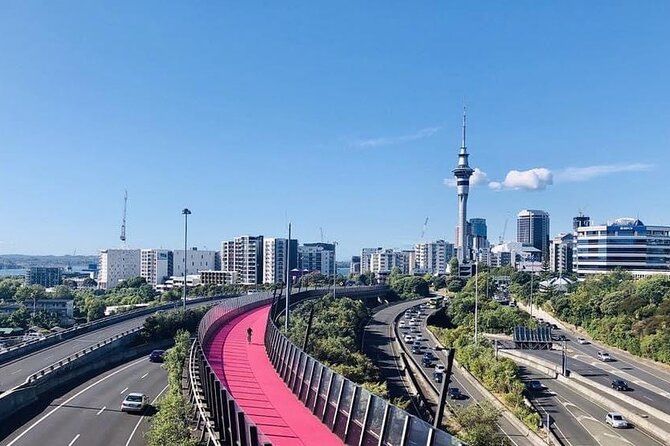 Private Driver For The Day From Auckland - Flexible Custom Tour