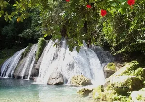 Reach Falls and Blue Lagoon 2in1 Combo Private Tour