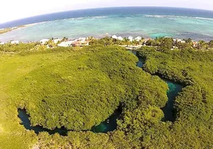 Paddleboard Combo Tour Cenote + Ocean