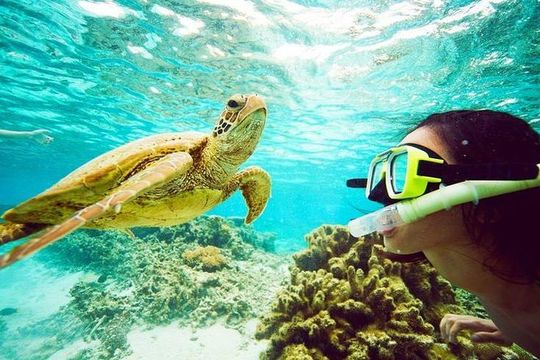 Catamaran cruise with Dunn's River falls from Ocho Rios