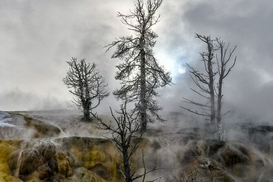 Yellowstone, Grand Teton, and Hot Springs: Small Group 5-Day Tour