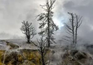 Yellowstone, Grand Teton, and Hot Springs: Small Group 5-Day Tour