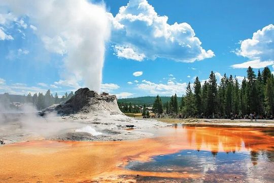 Premium Small Group SLC, Yellowstone National Park 6-Day Tour
