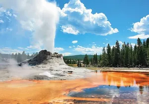 Premium Small Group SLC, Yellowstone National Park 6-Day Tour