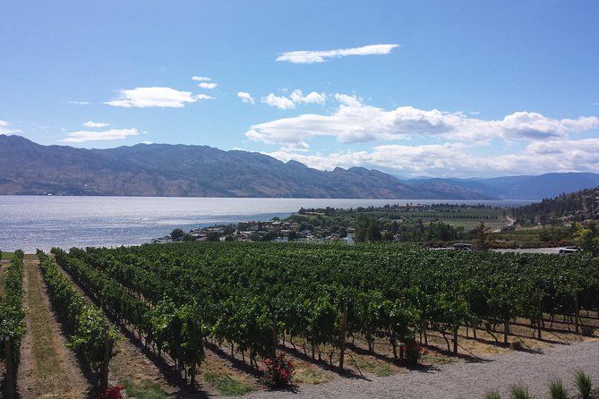 Tour and Taste Okanagan's Wine Country