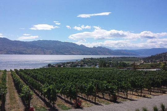 Tour and Taste Okanagan's Wine Country