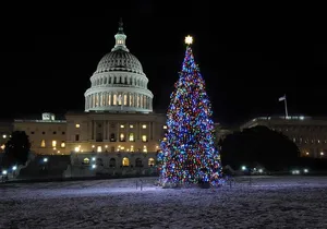 Holiday Lights Tour of Washington DC and Old Town Alexandria