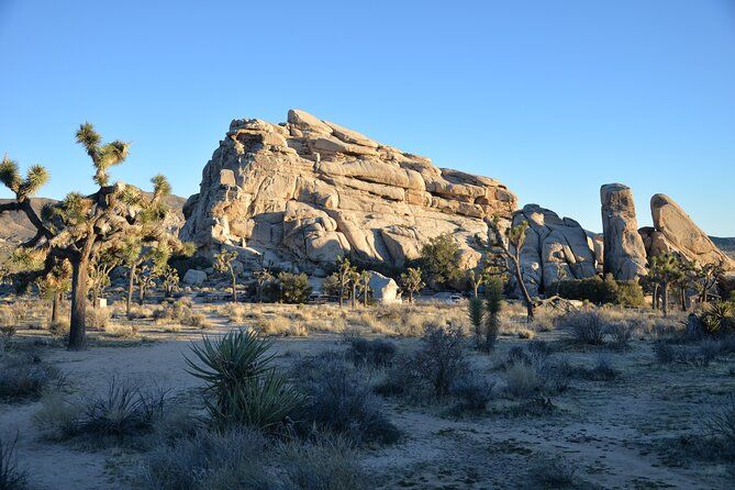 2-Day Private Tour to Joshua Tree National Park from Los Angeles