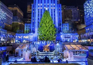 Christmas Light Private Carriage Ride New York City