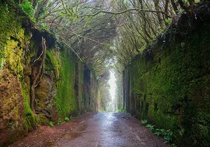 Nature and Culture Tour in Candelaria La Laguna and Anaga