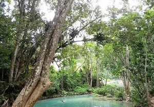 Dunn's Falls and Blue Hole Daytrip with Lunch from Montego Bay & Trelawny