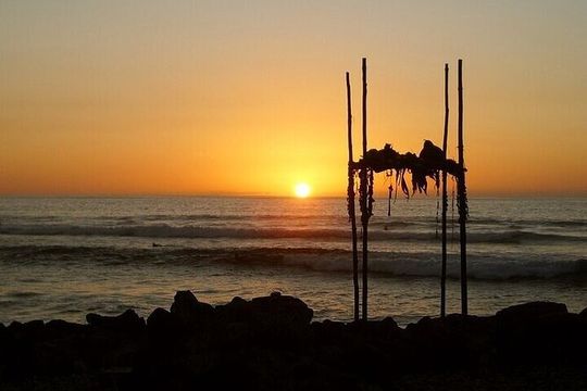 Oahu Grand Circle Island Experience from Waikiki