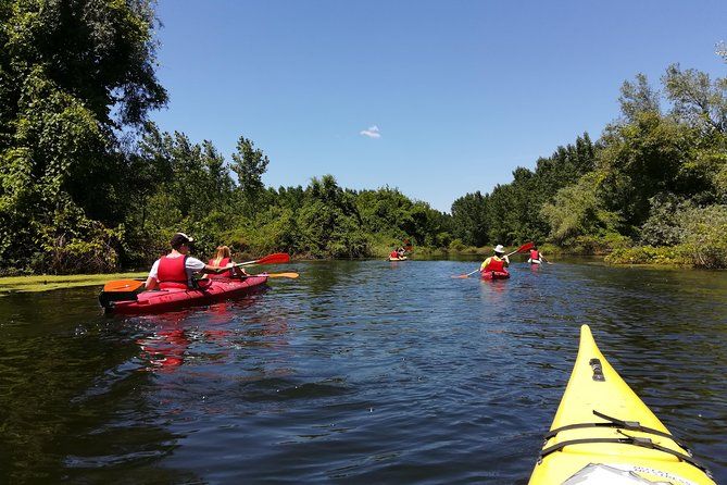 Belgrade Amazon Kayak Adventure