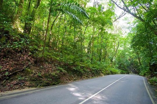 Ocho Rios Highlight Tour with River Tubing or Rafting