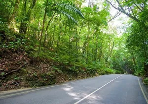 Ocho Rios Highlight Tour with River Tubing or Rafting