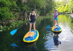 Florida Freshwater Springs Paddle Board Tour