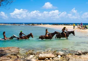 Beach Horseback Riding and River Tubing Family Adventure from Montego Bay