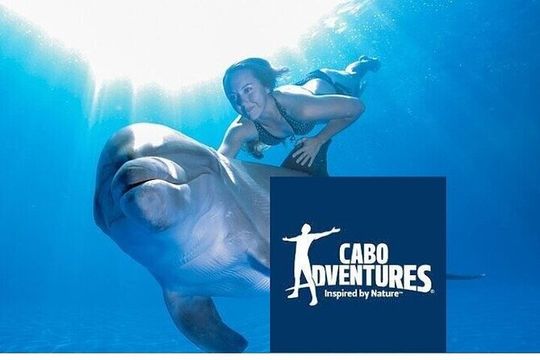 The only Natural Space Dolphin Encounter in Cabo Optional Pickup!