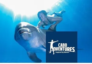 The only Natural Space Dolphin Encounter in Cabo Optional Pickup!