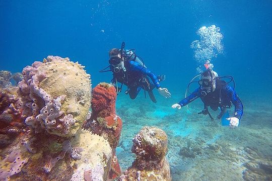 2 Days Class: SDI Open Water Diver Certification in Cancun