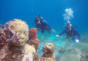 2 Days Class: SDI Open Water Diver Certification in Cancun